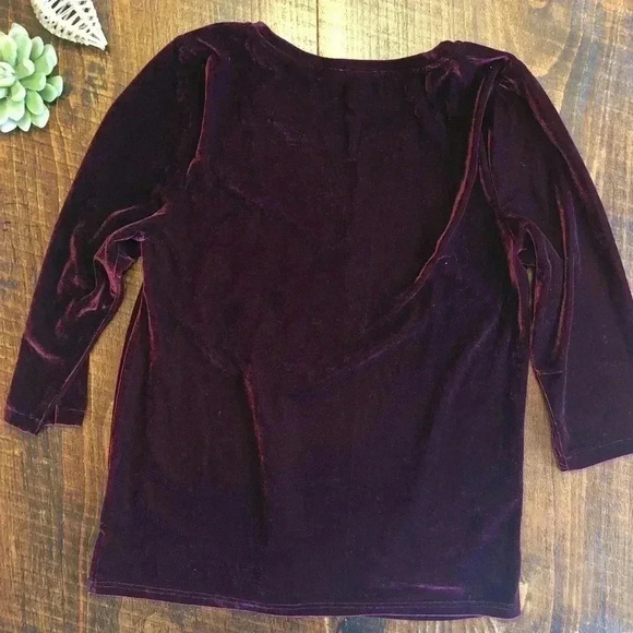 Jodifl | Velvet Top with Embroidery, 3/4 Sleeve - Picture 6 of 6